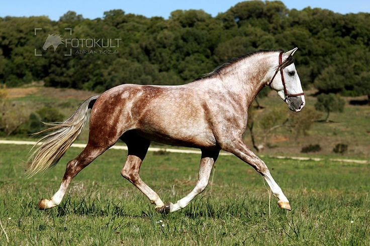 71eec-1033e32be52ee7ee9e91a03f3bf2c2bf