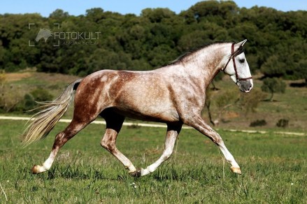 71eec-1033e32be52ee7ee9e91a03f3bf2c2bf