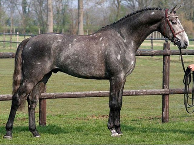 a24605b4c9808fbda0c883456de2510b