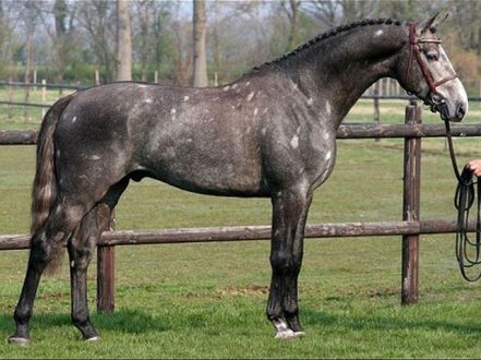 a24605b4c9808fbda0c883456de2510b