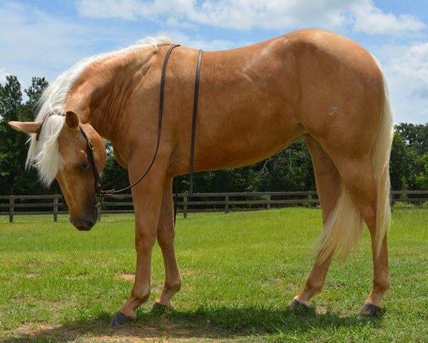 5cd18-11702761_10205497321927310_537463477436635414_n