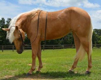 5cd18-11702761_10205497321927310_537463477436635414_n