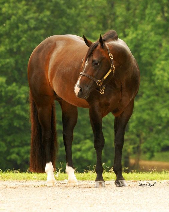 547427bbc8414ae8597e7968ca442cfb